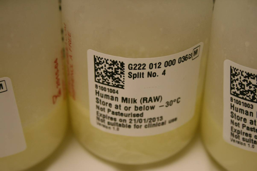 image milk bottles